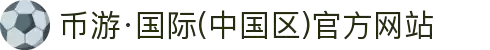 币游·国际(中国区)官方网站